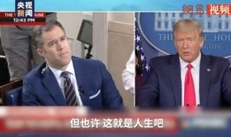 名人新闻爆料大全最新,最新爆料大全深度解析